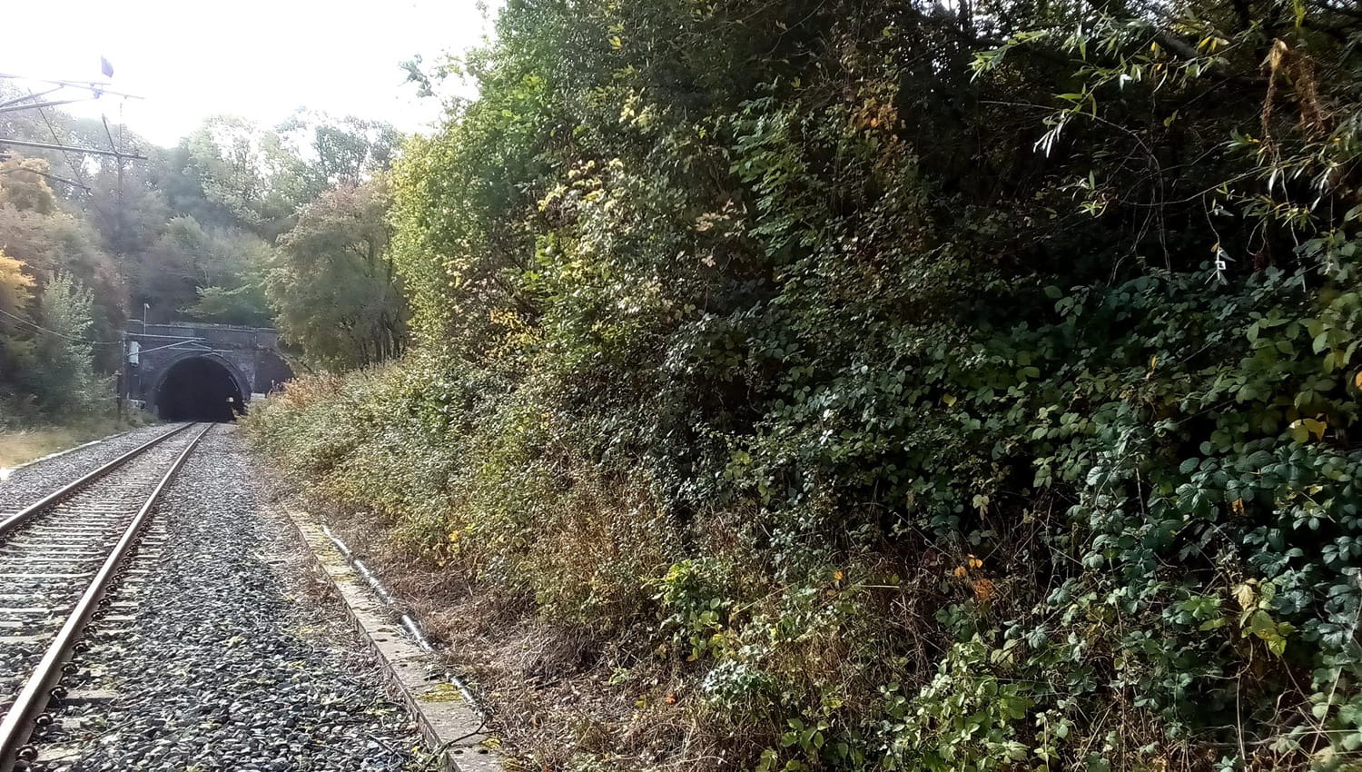 An image of railway tracks.