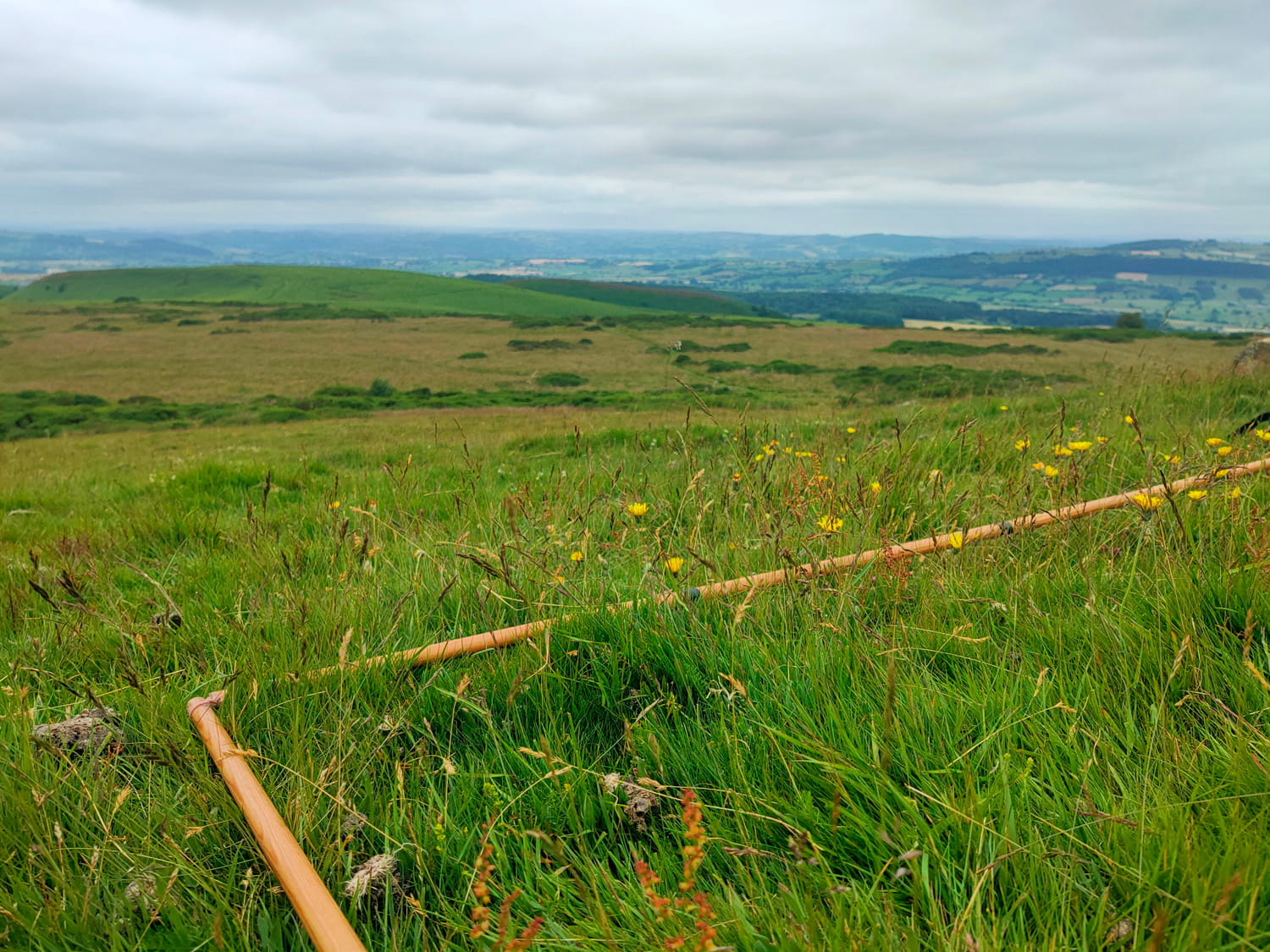 An image of a picturesque field.