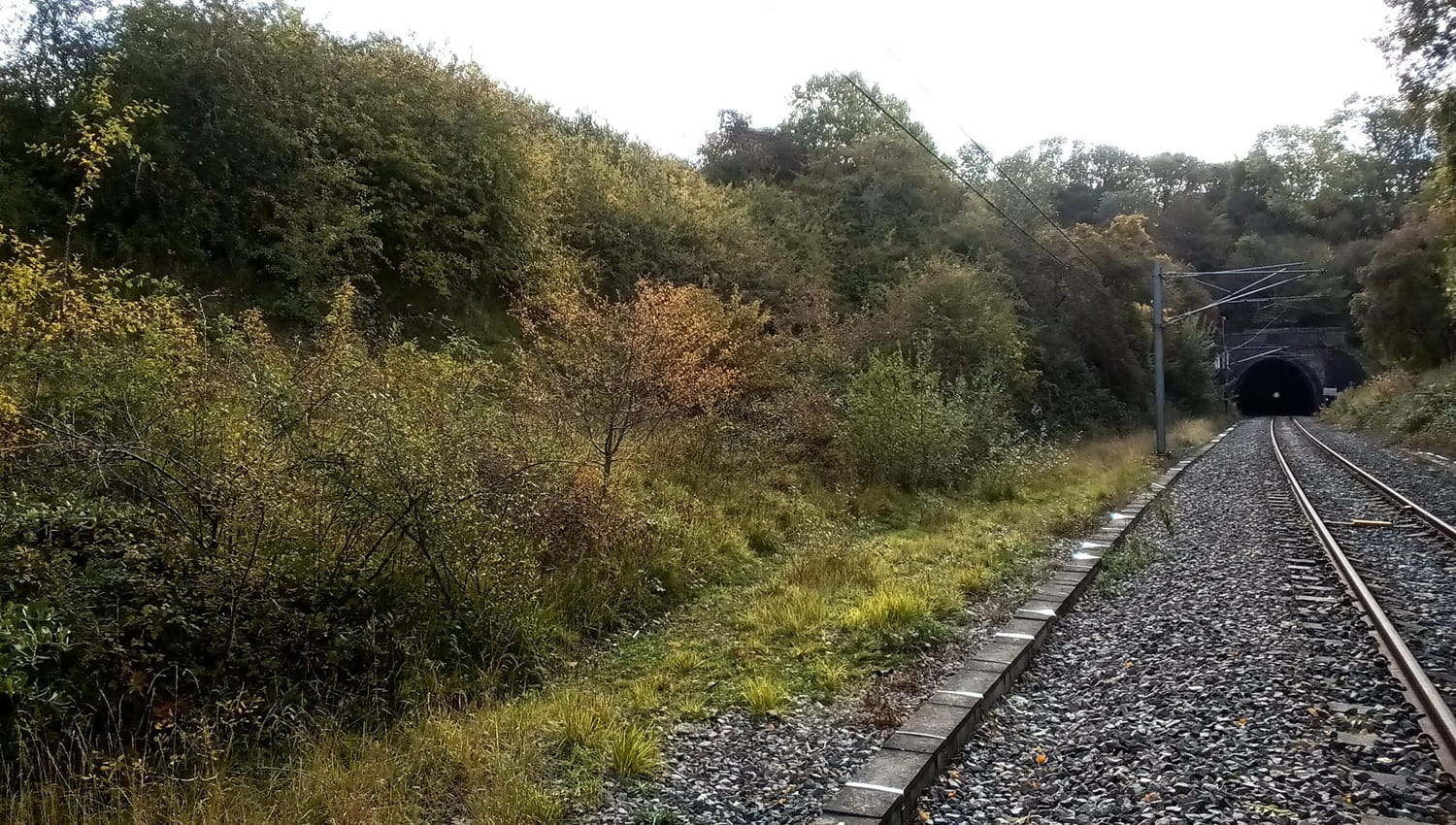 Project additional image
